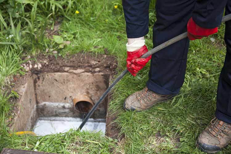 Septic Tank Cleaning Absolute Plumbing & Drain Cleaning in